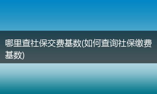 哪里查社保交费基数(如何查询社保缴费基数)