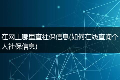 在网上哪里查社保信息(如何在线查询个人社保信息)