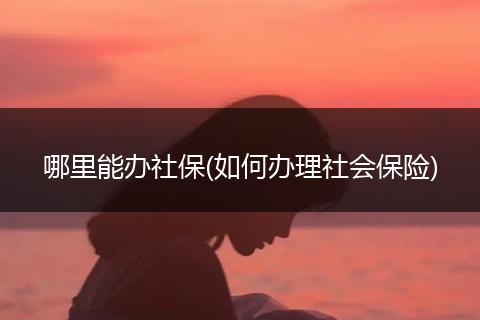 哪里能办社保(如何办理社会保险)