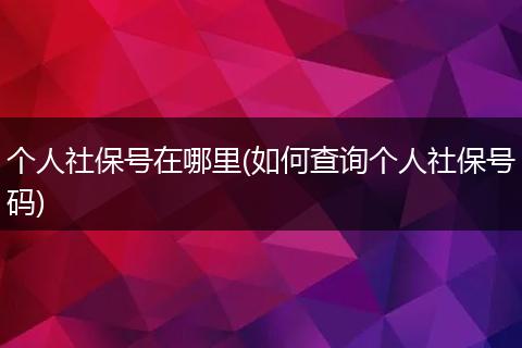 个人社保号在哪里(如何查询个人社保号码)