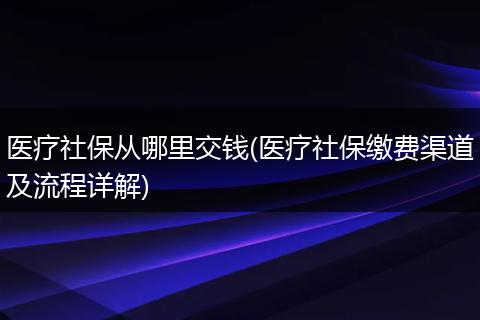 医疗社保从哪里交钱(医疗社保缴费渠道及流程详解)