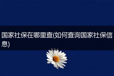 国家社保在哪里查(如何查询国家社保信息)