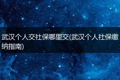 武汉个人交社保哪里交(武汉个人社保缴纳指南)