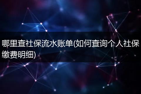 哪里查社保流水账单(如何查询个人社保缴费明细)