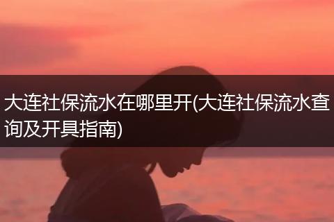 大连社保流水在哪里开(大连社保流水查询及开具指南)