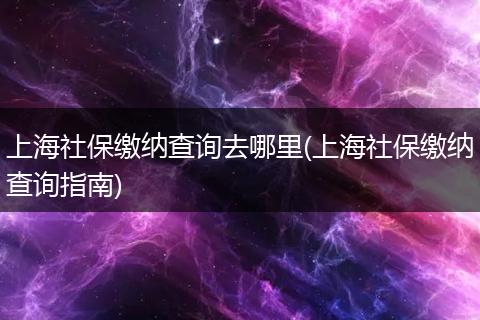 上海社保缴纳查询去哪里(上海社保缴纳查询指南)
