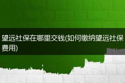 望远社保在哪里交钱(如何缴纳望远社保费用)