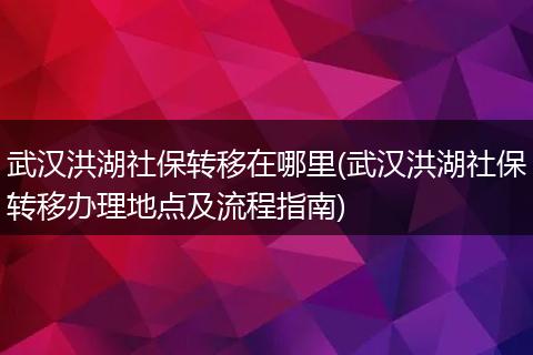 武汉洪湖社保转移在哪里(武汉洪湖社保转移办理地点及流程指南)