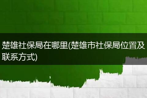 楚雄社保局在哪里(楚雄市社保局位置及联系方式)