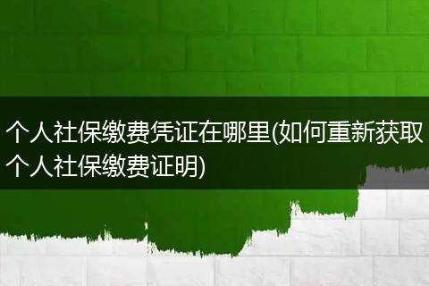 个人社保缴费凭证在哪里(如何重新获取个人社保缴费证明)