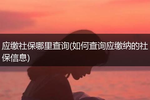 应缴社保哪里查询(如何查询应缴纳的社保信息)