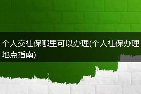 个人交社保哪里可以办理(个人社保办理地点指南)