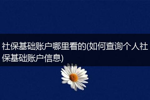 社保基础账户哪里看的(如何查询个人社保基础账户信息)