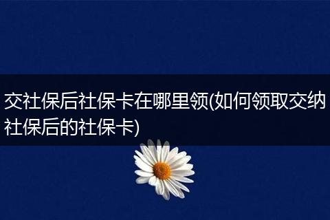 交社保后社保卡在哪里领(如何领取交纳社保后的社保卡)
