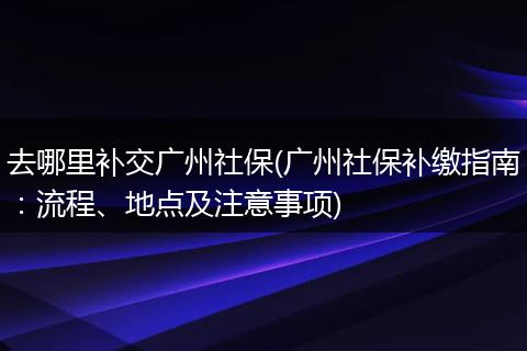 去哪里补交广州社保(广州社保补缴指南：流程、地点及注意事项)