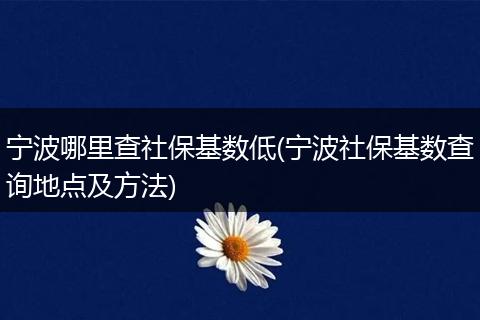 宁波哪里查社保基数低(宁波社保基数查询地点及方法)