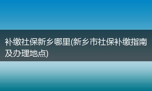 补缴社保新乡哪里(新乡市社保补缴指南及办理地点)