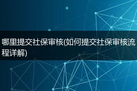 哪里提交社保审核(如何提交社保审核流程详解)