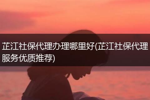 芷江社保代理办理哪里好(芷江社保代理服务优质推荐)