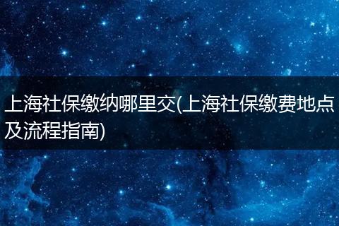 上海社保缴纳哪里交(上海社保缴费地点及流程指南)
