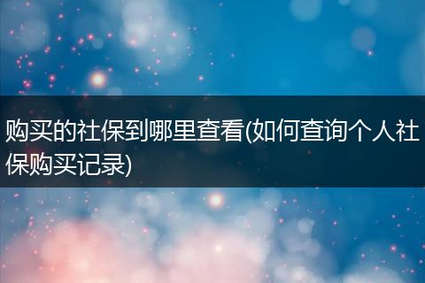 购买的社保到哪里查看(如何查询个人社保购买记录)