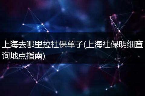 上海去哪里拉社保单子(上海社保明细查询地点指南)