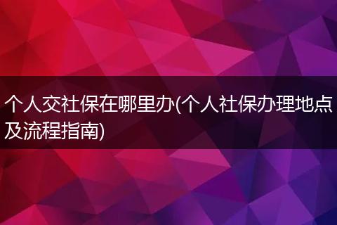 个人交社保在哪里办(个人社保办理地点及流程指南)