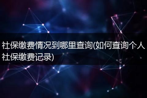 社保缴费情况到哪里查询(如何查询个人社保缴费记录)