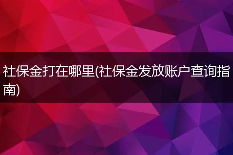 社保金打在哪里(社保金发放账户查询指南)