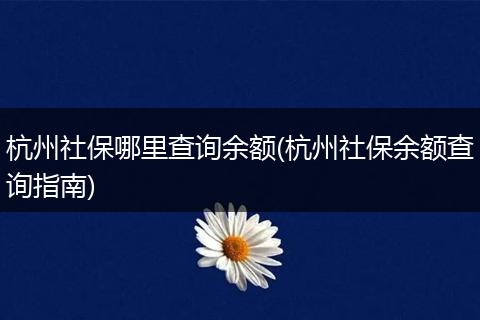 杭州社保哪里查询余额(杭州社保余额查询指南)