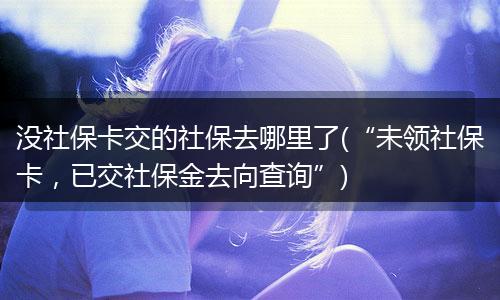 没社保卡交的社保去哪里了(“未领社保卡，已交社保金去向查询”)