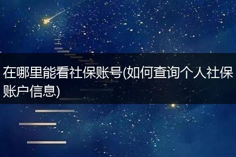 在哪里能看社保账号(如何查询个人社保账户信息)