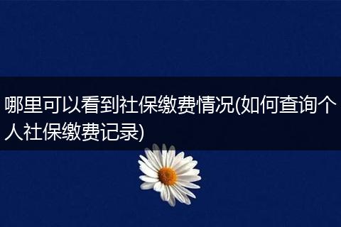 哪里可以看到社保缴费情况(如何查询个人社保缴费记录)