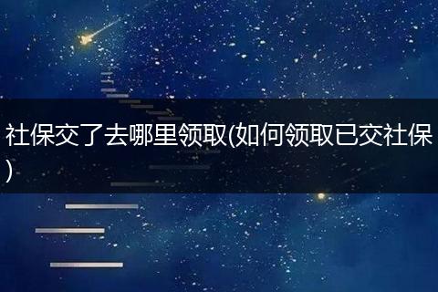 社保交了去哪里领取(如何领取已交社保)