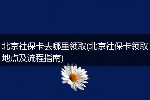 北京社保卡去哪里领取(北京社保卡领取地点及流程指南)