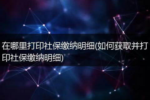 在哪里打印社保缴纳明细(如何获取并打印社保缴纳明细)