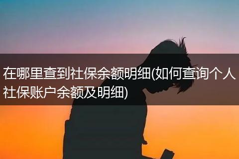 在哪里查到社保余额明细(如何查询个人社保账户余额及明细)