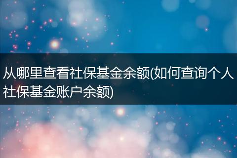 从哪里查看社保基金余额(如何查询个人社保基金账户余额)