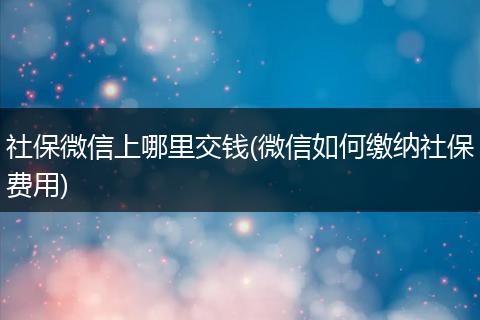 社保微信上哪里交钱(微信如何缴纳社保费用)
