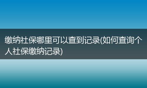 缴纳社保哪里可以查到记录(如何查询个人社保缴纳记录)