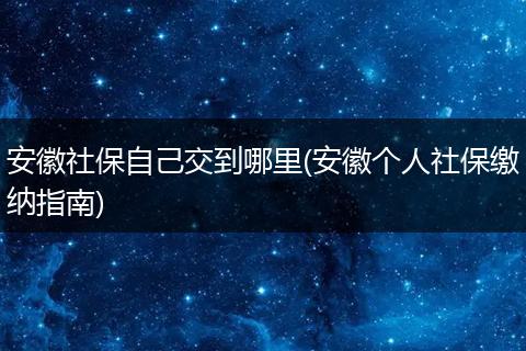 安徽社保自己交到哪里(安徽个人社保缴纳指南)