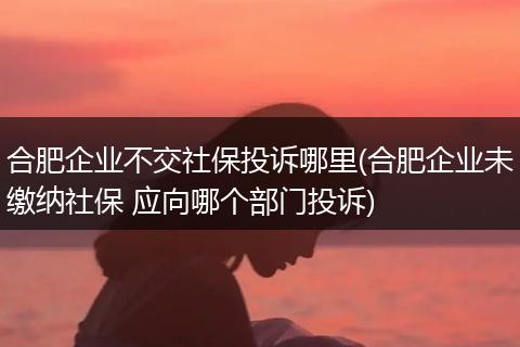 合肥企业不交社保投诉哪里(合肥企业未缴纳社保 应向哪个部门投诉)