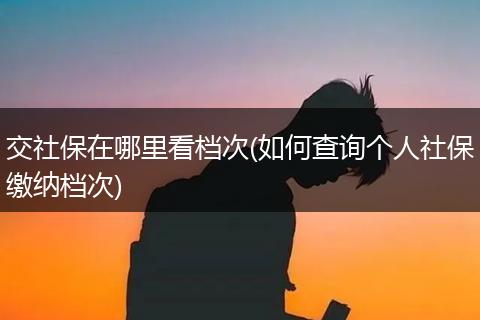 交社保在哪里看档次(如何查询个人社保缴纳档次)