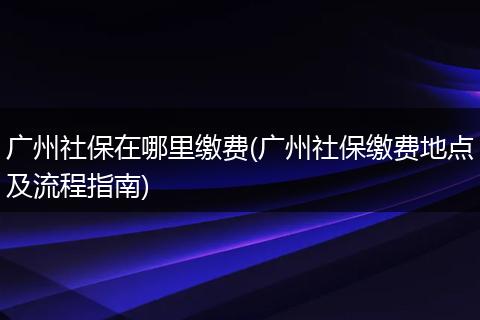 广州社保在哪里缴费(广州社保缴费地点及流程指南)