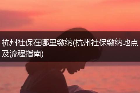 杭州社保在哪里缴纳(杭州社保缴纳地点及流程指南)