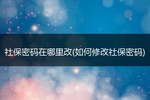 社保密码在哪里改(如何修改社保密码)