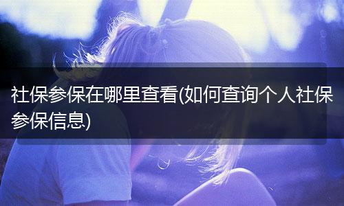 社保参保在哪里查看(如何查询个人社保参保信息)