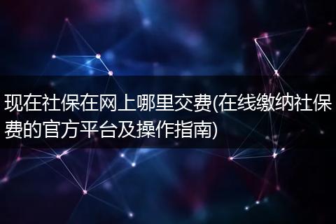 现在社保在网上哪里交费(在线缴纳社保费的官方平台及操作指南)