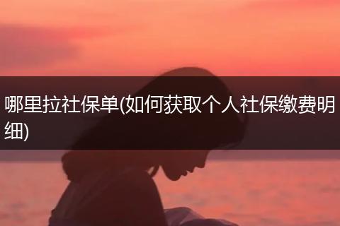 哪里拉社保单(如何获取个人社保缴费明细)