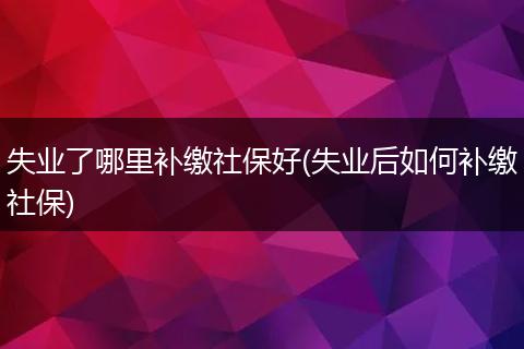 失业了哪里补缴社保好(失业后如何补缴社保)